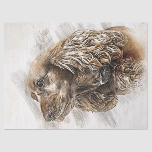 コッカースパニエル犬ドッグウォーターカラー 薄葉紙 (正面)