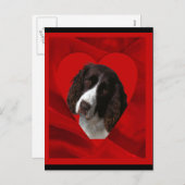 コッカースパニエル犬バレンタイン シーズンポストカード (正面/裏面)