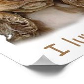 コッカースパニエル犬パピーポスター ポスター (角)