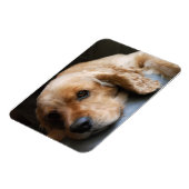 コッカースパニエル犬プレミアムマグネット マグネット (左側)
