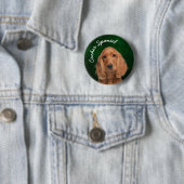 コッカースパニエル犬ボタン 缶バッジ (インサイチュ)