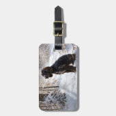 コッカースパニエル犬レッツスノークリスマス ラゲッジタグ (正面縦)