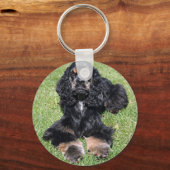 コッカースパニエル犬写真 キーホルダー (正面)