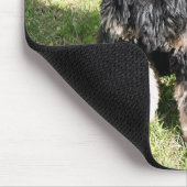 コッカースパニエル犬写真 マウスパッド (コーナー)