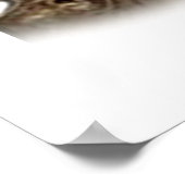 コッカースパニエル犬子犬 ポスター (角)