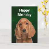 コッカースパニエル犬折り畳みグリーティングカード カード (黄色い花)