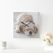 コッカースパニエル犬犬が眠っている スクエア壁時計 (ホーム)