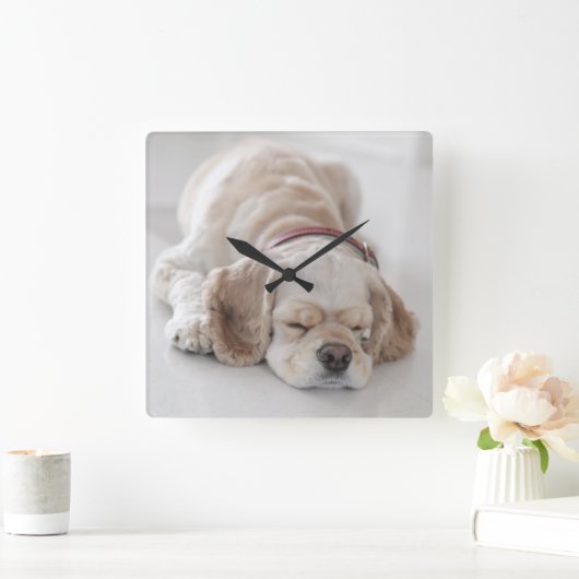 コッカースパニエル犬犬が眠っている スクエア壁時計 (ホーム)