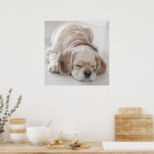 コッカースパニエル犬犬が眠っている ポスター (キッチン)