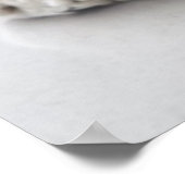 コッカースパニエル犬犬が眠っている ポスター (角)