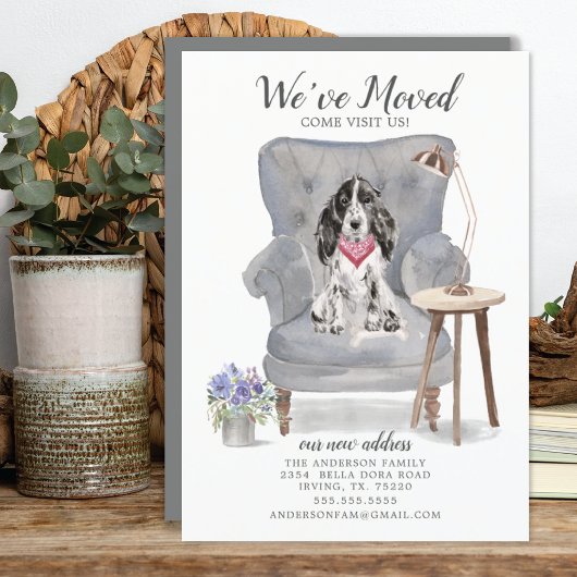 コッカースパニエル犬犬 |お知らせ 案内状