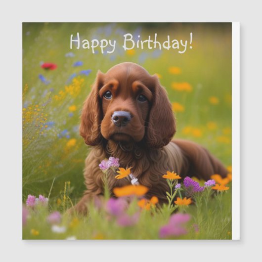 コッカースパニエル犬磁気カード (正面)