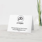 コッカースパニエル犬 カード (裏面)