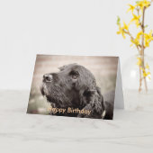 コッカースパニエル犬 カード (黄色い花)