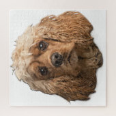 コッカースパニエル犬 ジグソーパズル (縦)