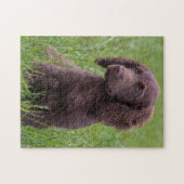 コッカースパニエル犬 ジグソーパズル (横)