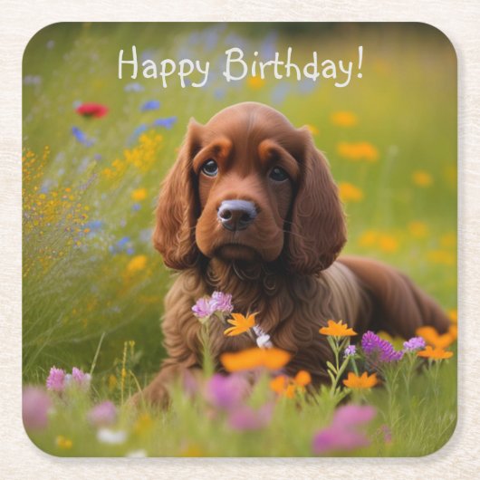 コッカースパニエル犬 スクエアペーパーコースター (正面)