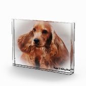 コッカースパニエル犬。 フォトブロック (右)