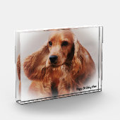 コッカースパニエル犬。 フォトブロック (左)