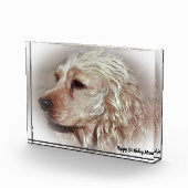 コッカースパニエル犬。 フォトブロック (右)