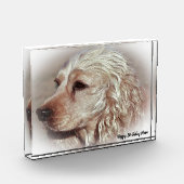 コッカースパニエル犬。 フォトブロック (左)