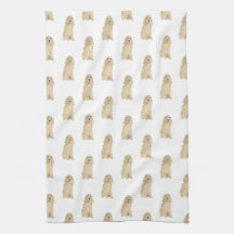 コッカースパニエル犬（ブロンドタンゴールデン）