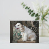 コッカースパニエル犬 ポストカード (スタンド正面)