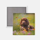 コッカースパニエル犬 マグネット (正面/裏面)