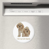 コッカースパニエル犬 マグネット (インサイチュ (食洗機))