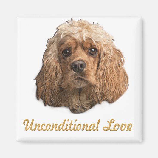 コッカースパニエル犬 マグネット (正面)