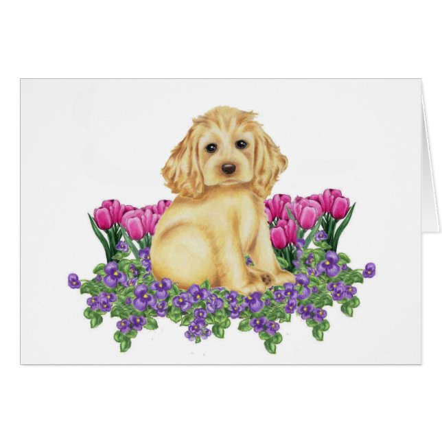 コッカースパニエル (正面横)