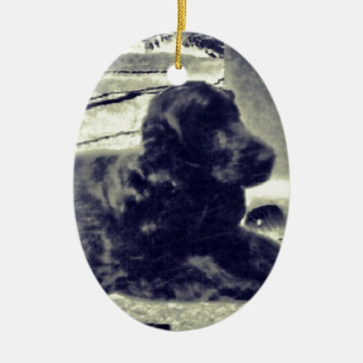 コッカースパニエル セラミックオーナメント (正面)