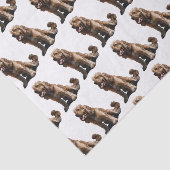 コッカースパニエル 薄葉紙 (詳細)