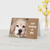 コッカー・スパニエルが「最高の誕生日を過ごしてね」って言ってるよ カード (黄色い花)