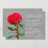 コックコーム結婚式招待状 招待状 (正面/裏面)