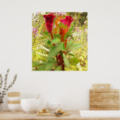 コックコーム花 ポスター (キッチン)