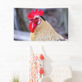 コックスコム付き鶏 横断幕 (インサイチュ)