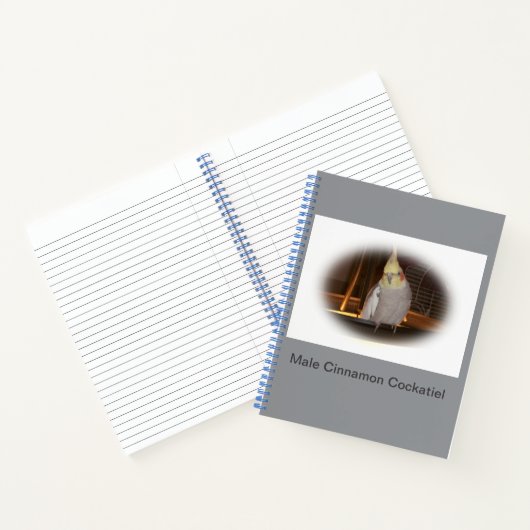 コックティエルスパイラルノート ノートブック (内部)