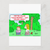 コックバーのベルクロの種 ポストカード (正面)