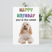 コックパプー誕生日カード サンキューカード (スタンド正面)