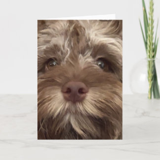 *コックポーの誕生日ユーモア50» カード