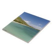 コックレスヘル湾、南東半島、セントキッツ タイル (側面)