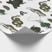 コッタゲコアトッドラッピング紙 ラッピングペーパー (角)