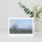 コッツウォルズ・ミックルトン ポストカード (スタンド正面)