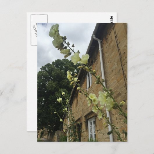 コッツウォー統一されたズキングダムチッピングキャンデンポストカード ポストカード (正面/裏面)