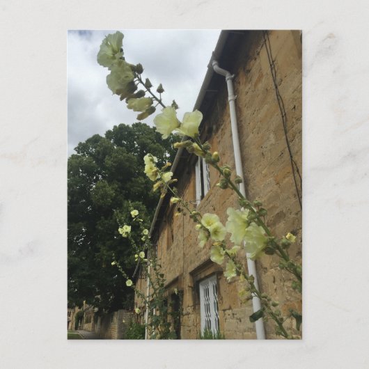 コッツウォー統一されたズキングダムチッピングキャンデンポストカード ポストカード (正面)