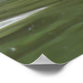 コットスイミングプリント ポスター (角)