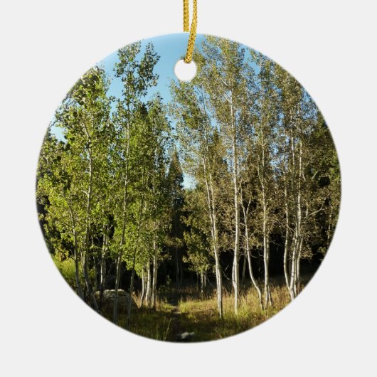 コットンウッズアロームースポンドトレイルアットグランドテトン セラミックオーナメント (正面)