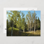 コットンウッズアロームースポンドトレイルアットグランドテトン ポストカード (正面/裏面)