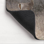 コットンウッドの木のD2によって白後につかれるシカ マウスパッド (コーナー)